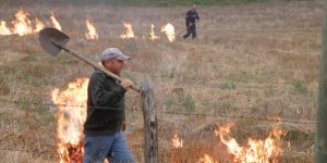 quemas agricolas