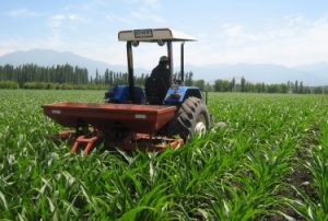 Agricultura-1-11-375x253