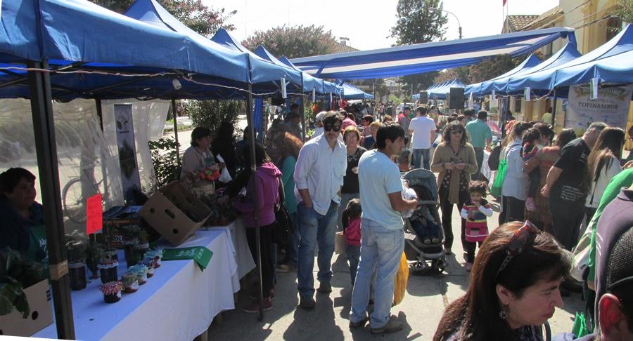 feria indap