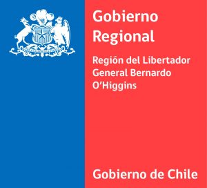 logo_gob_regional-_2011