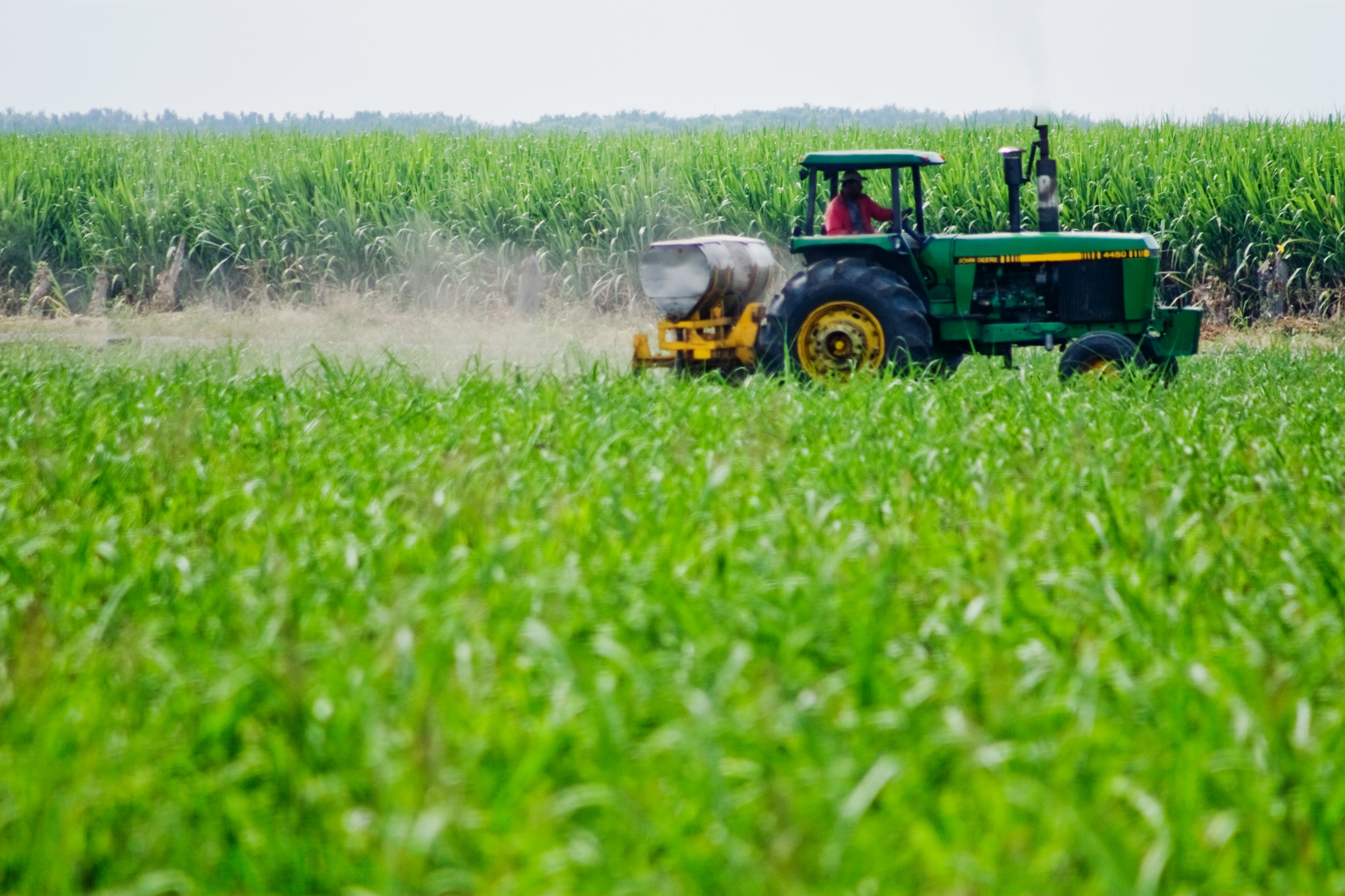 agroindustria_0