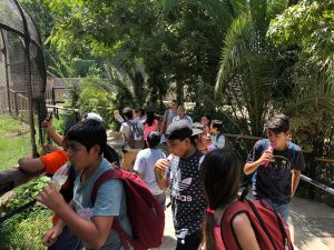 Escuelas Abiertas