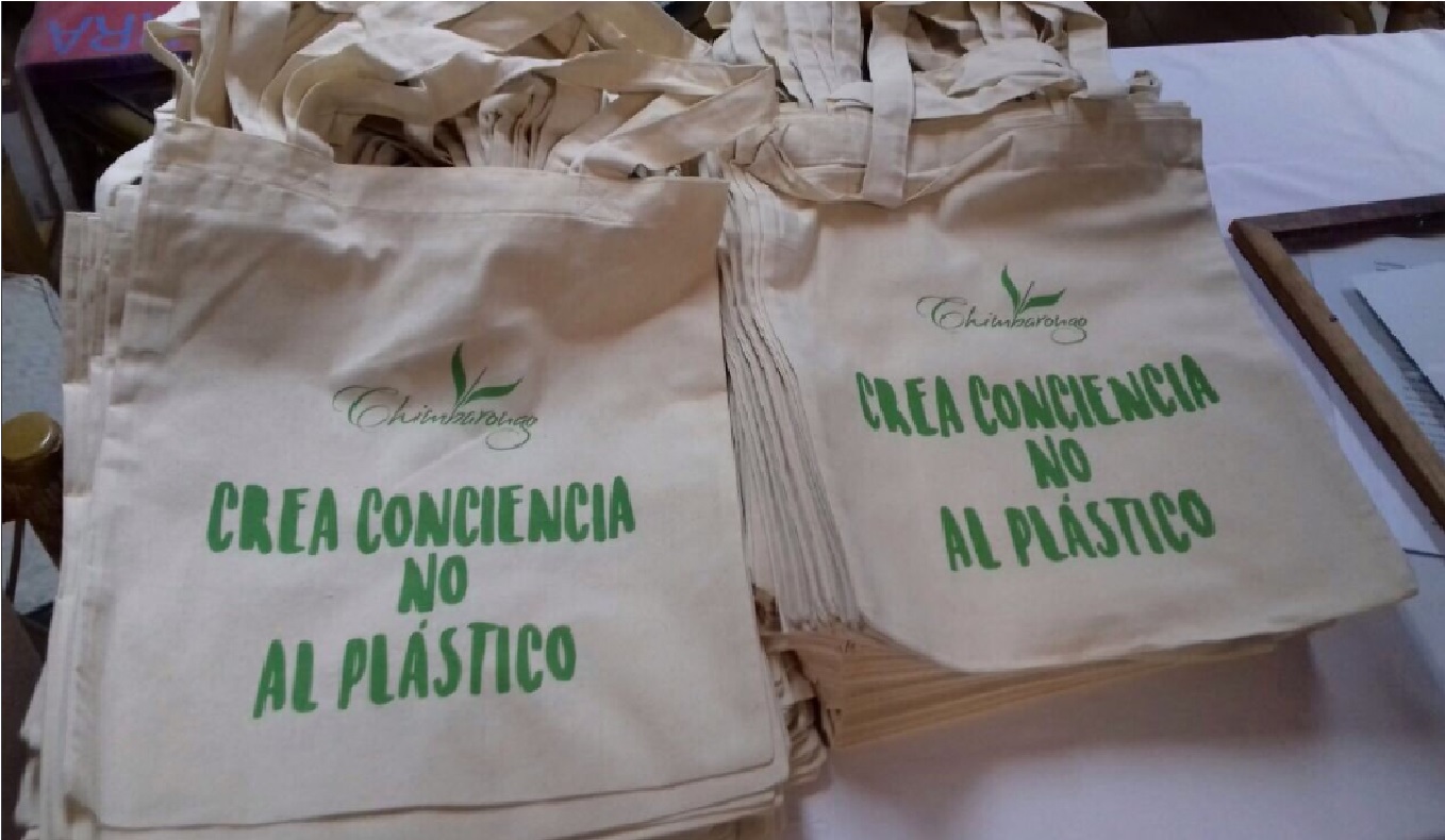 SUSTITUCION BOLSAS PLASTICAS