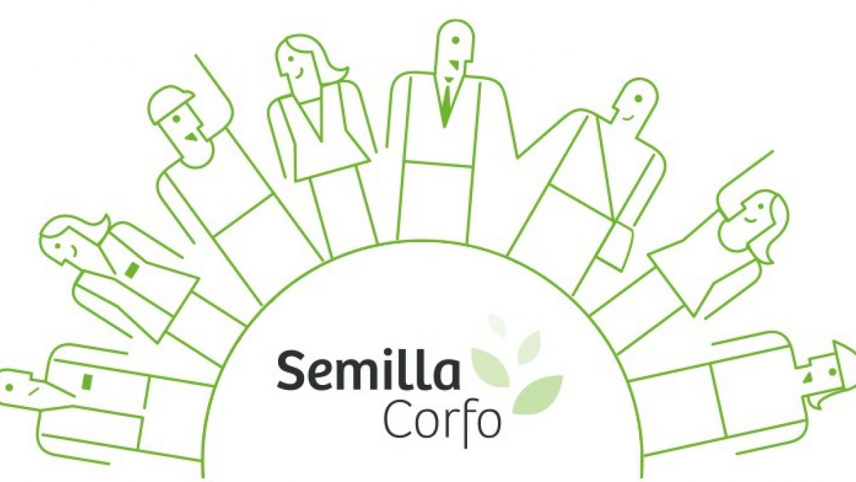 semilla corfo