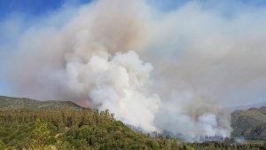 incendio forestal machali