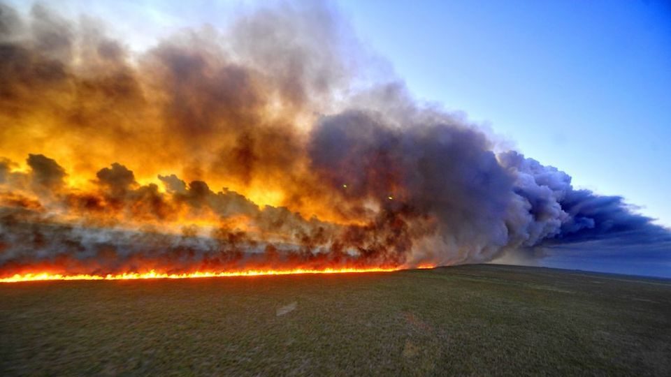 incendio en el amazonas