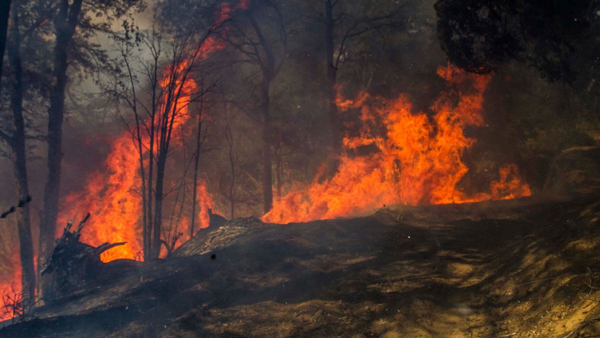 incendio forestal hd 2