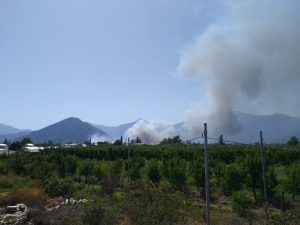 incendio coltauco 2