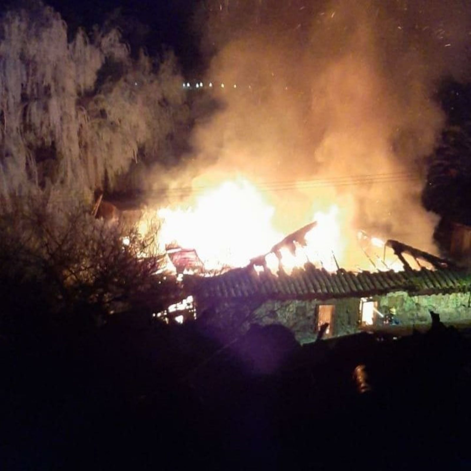 incendio en coltauco 2