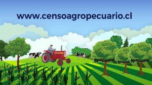 censo agropecuario