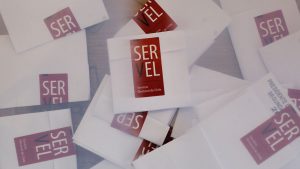 servel elecciones 2 días