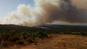 incendios forestales 2