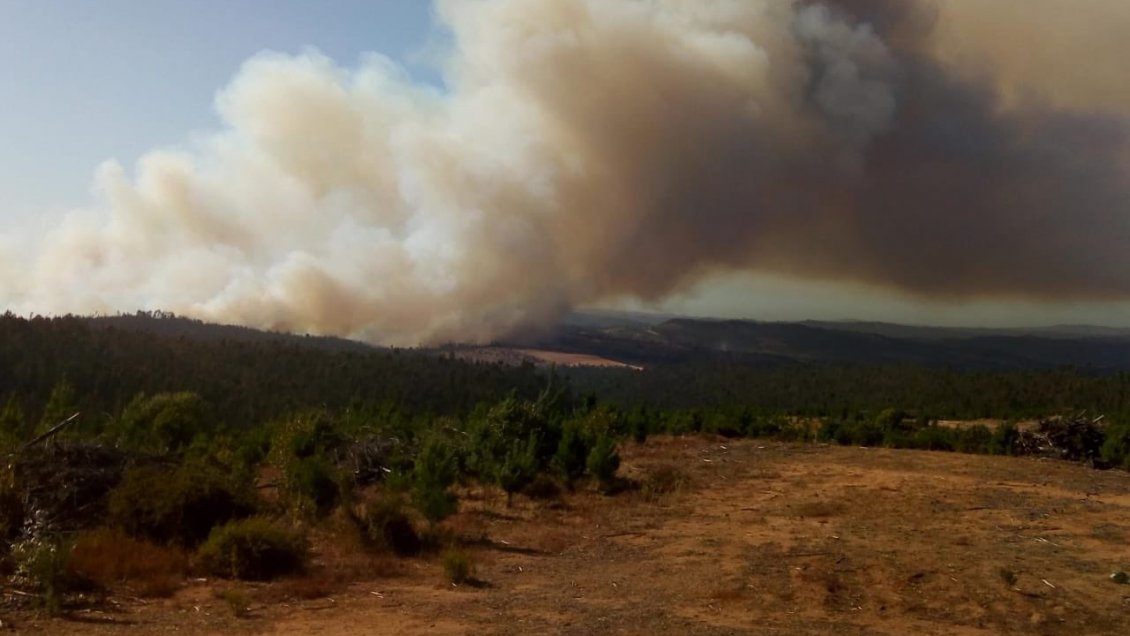 incendios forestales 2