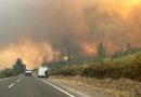 Confirman cuatro persona fallecidas por incendio forestal en Santa Juana