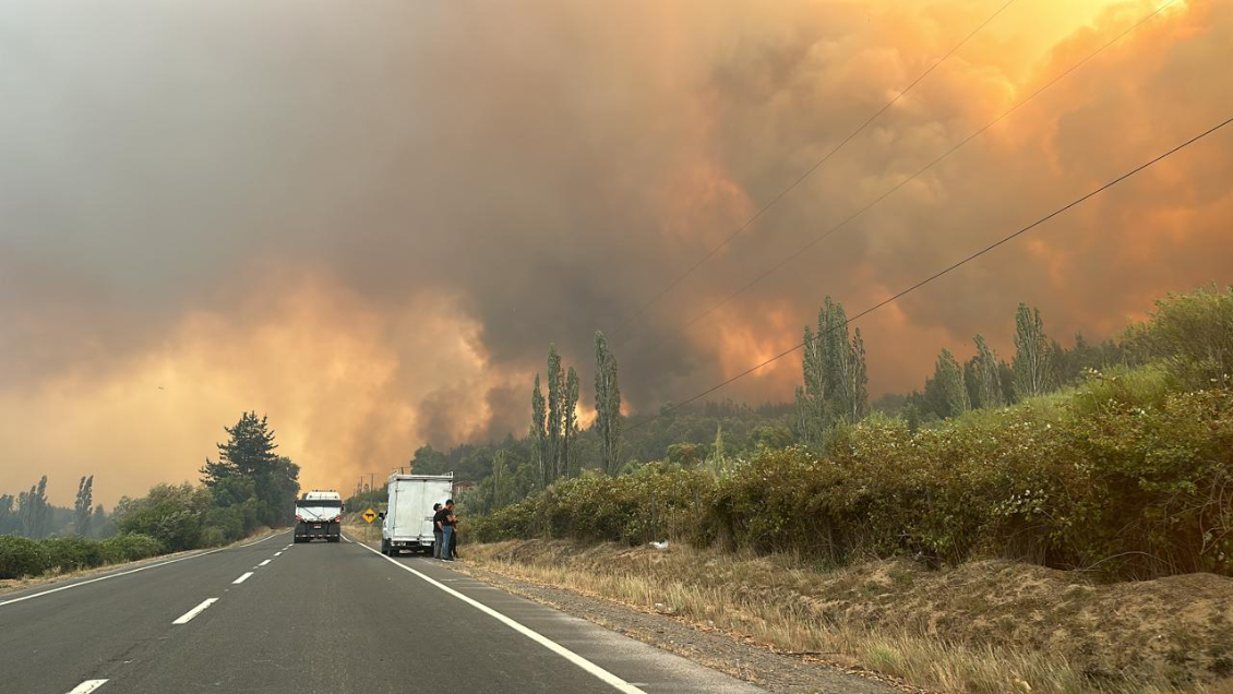 incendios forestales 4