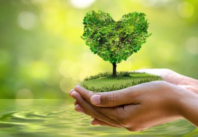 Este lunes 5 de junio se conmemora el Día del Medio Ambiente
