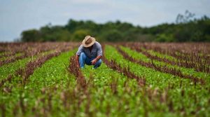 Agricultores