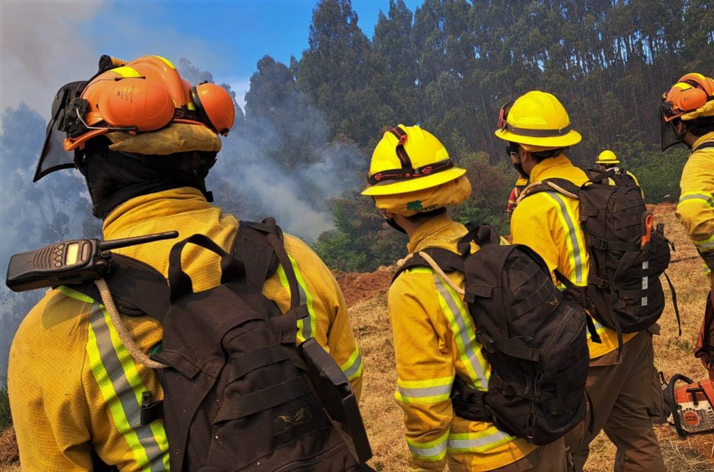 conaf incendio