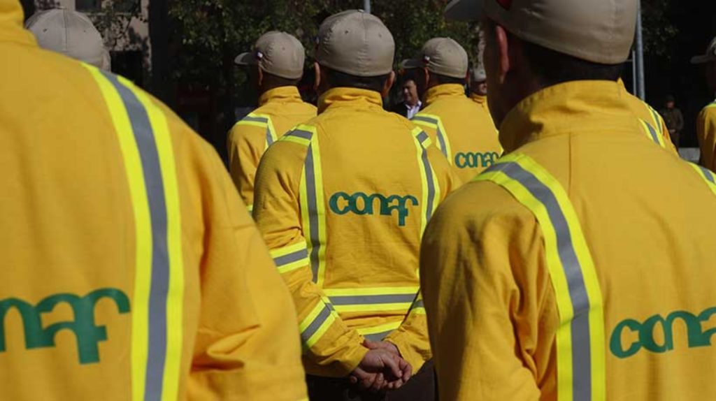conaf 2 2