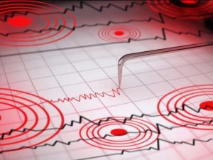 sismo referencia 2