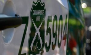 pacos 14 2